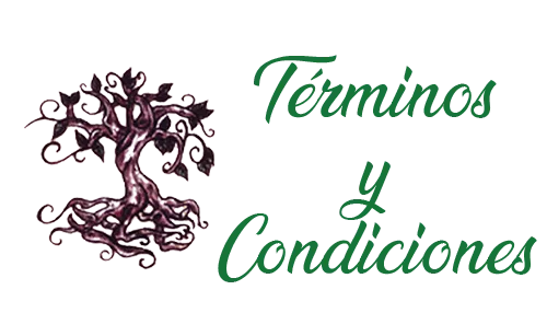 Términos y condiciones